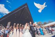 Professional Videographers for Wedding